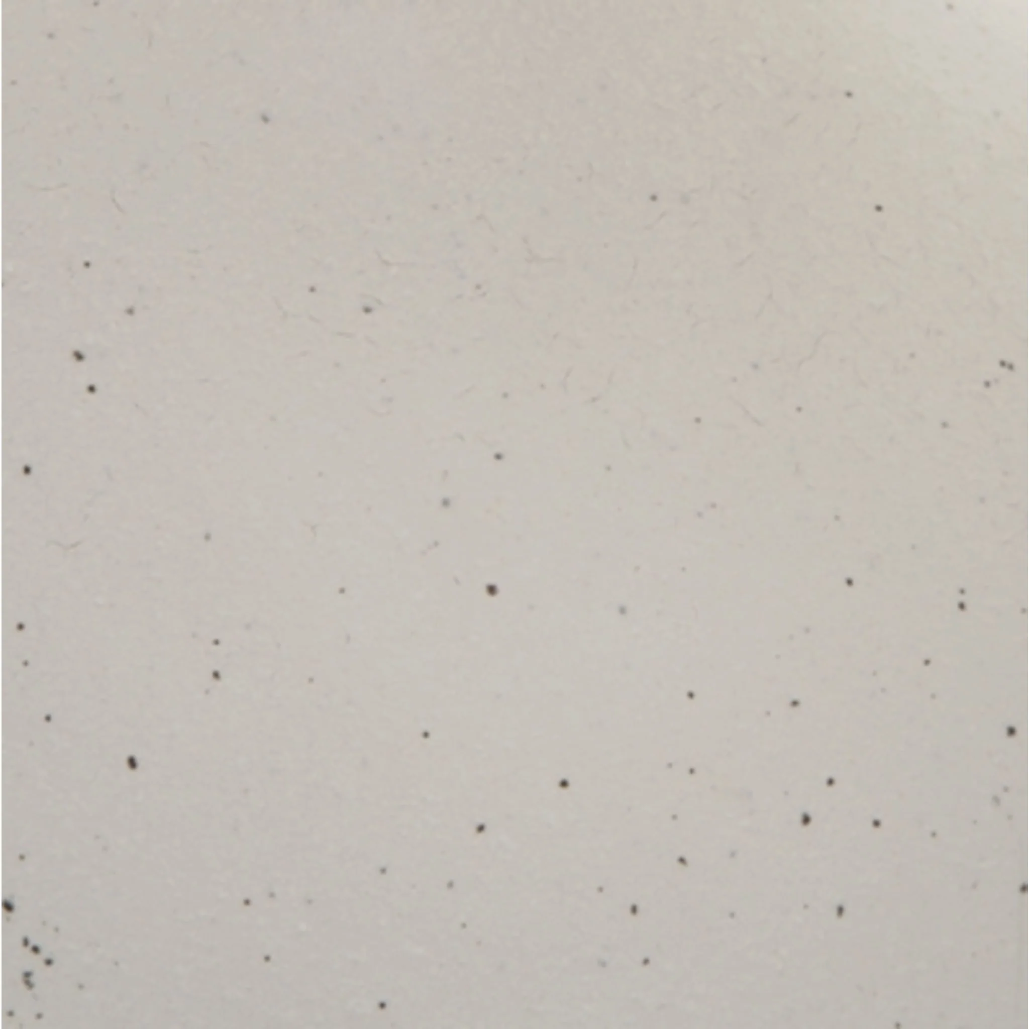 Arthrow Sculpture - Image 5