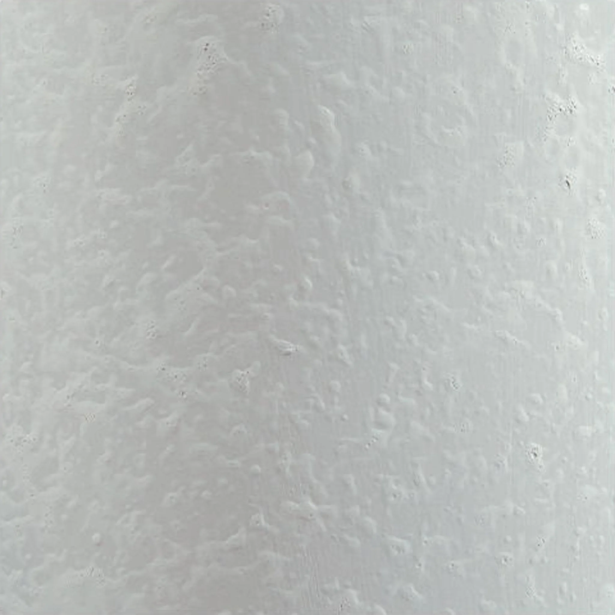 Avianic Table Lamp (Pair) - Image 4