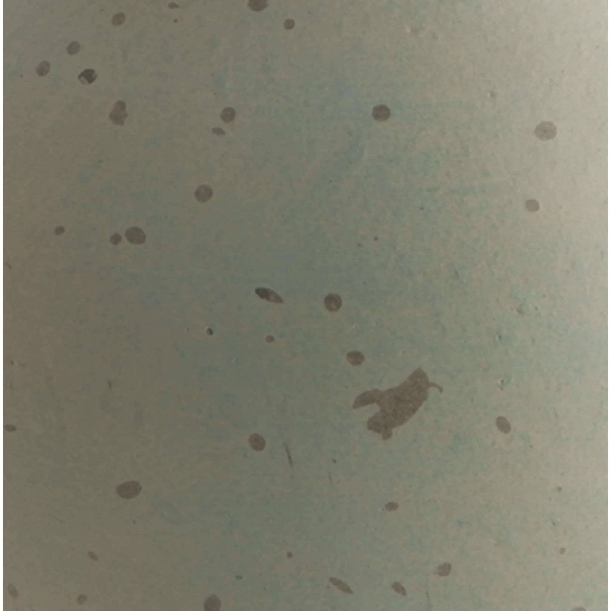 Baychester Vase - Image 6