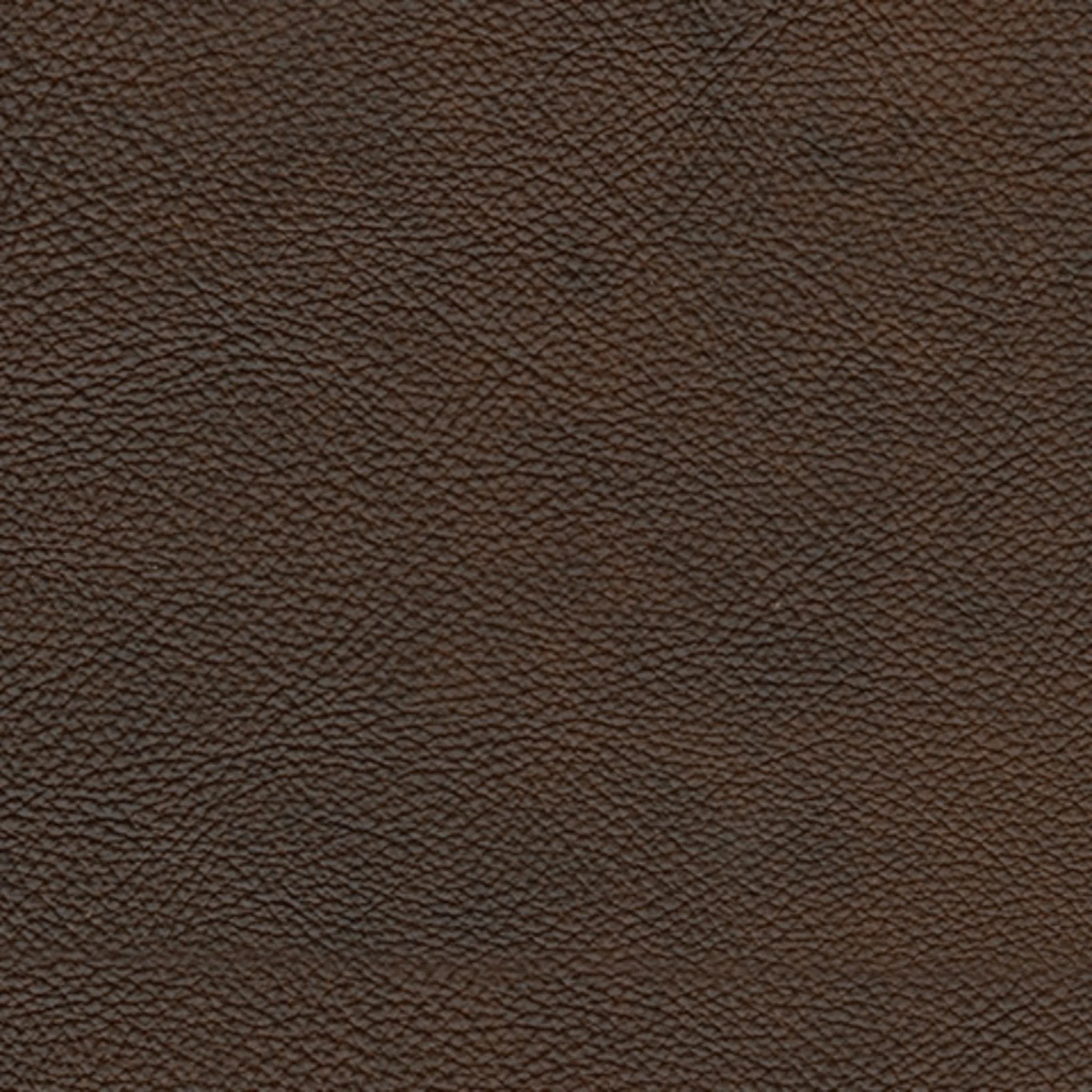 Beamerton Loveseat - Image 6