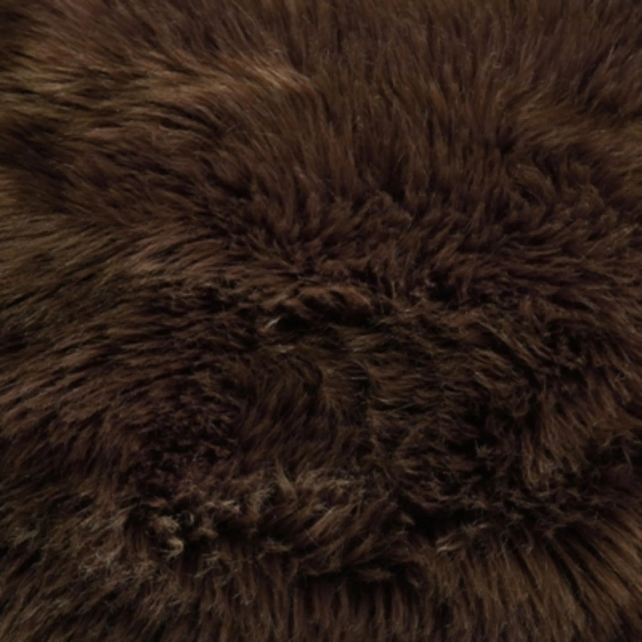 Bellethrone Accent Pillow - Image 9