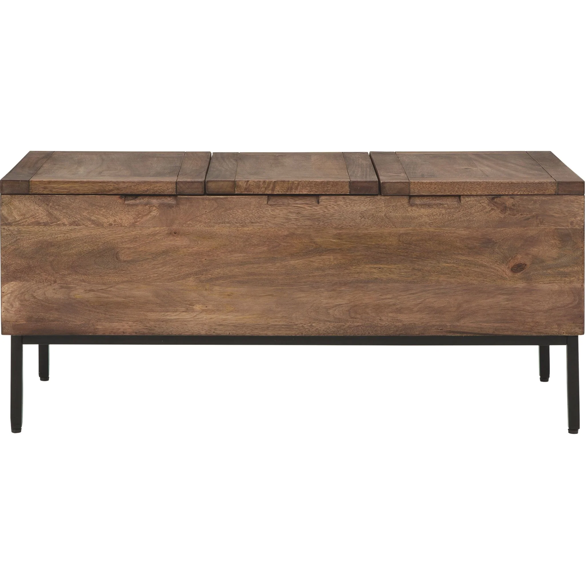 Braddick Trunk - Image 4