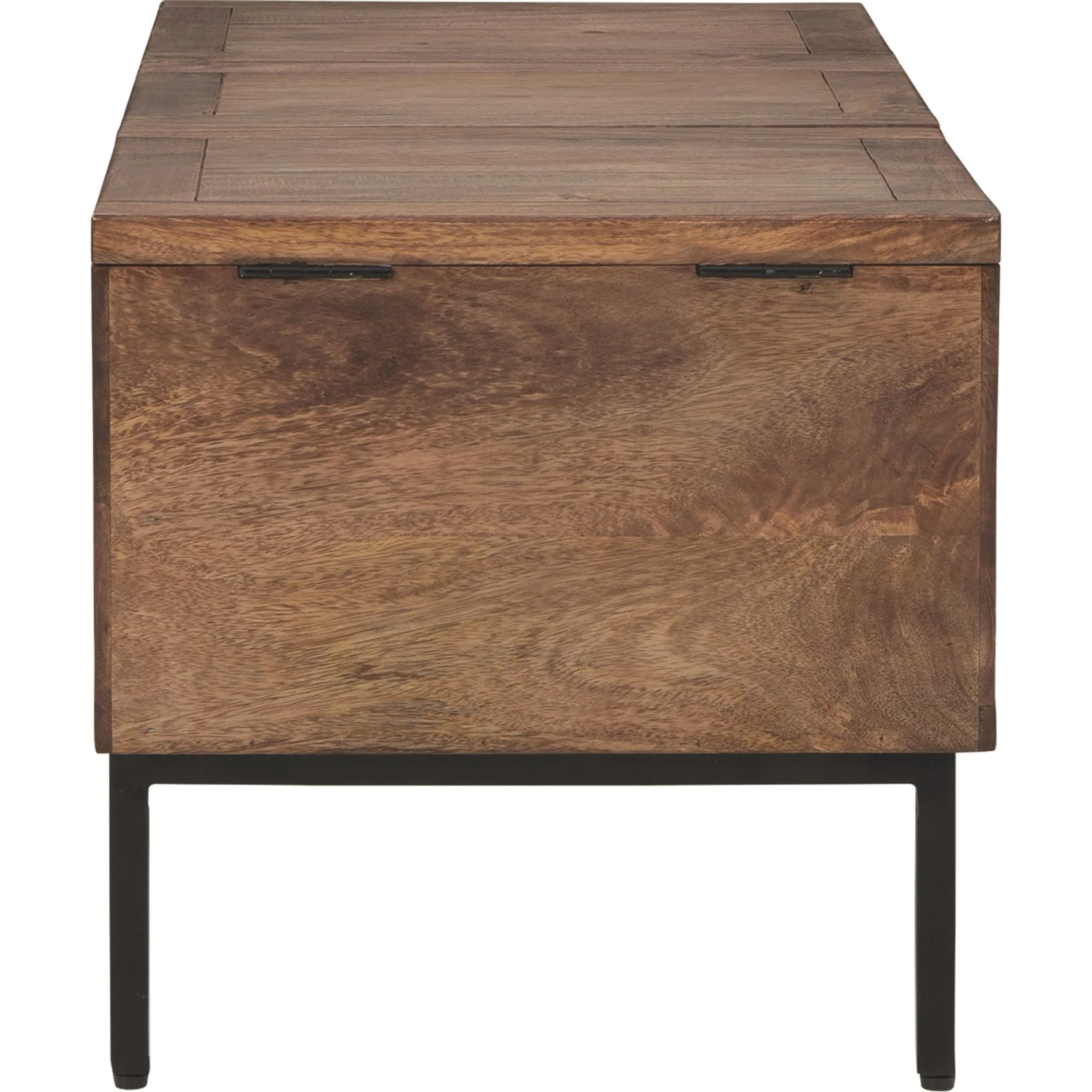 Braddick Trunk - Image 5