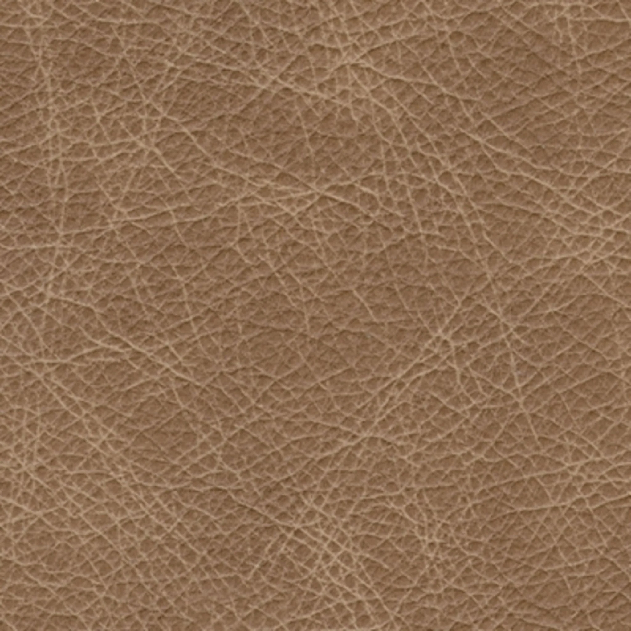 Bradney Swivel Chair - Image 6