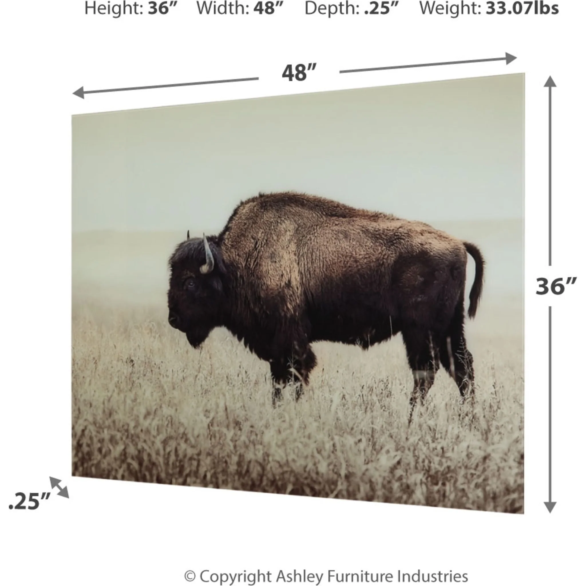 Brutus Wall Art - Image 3