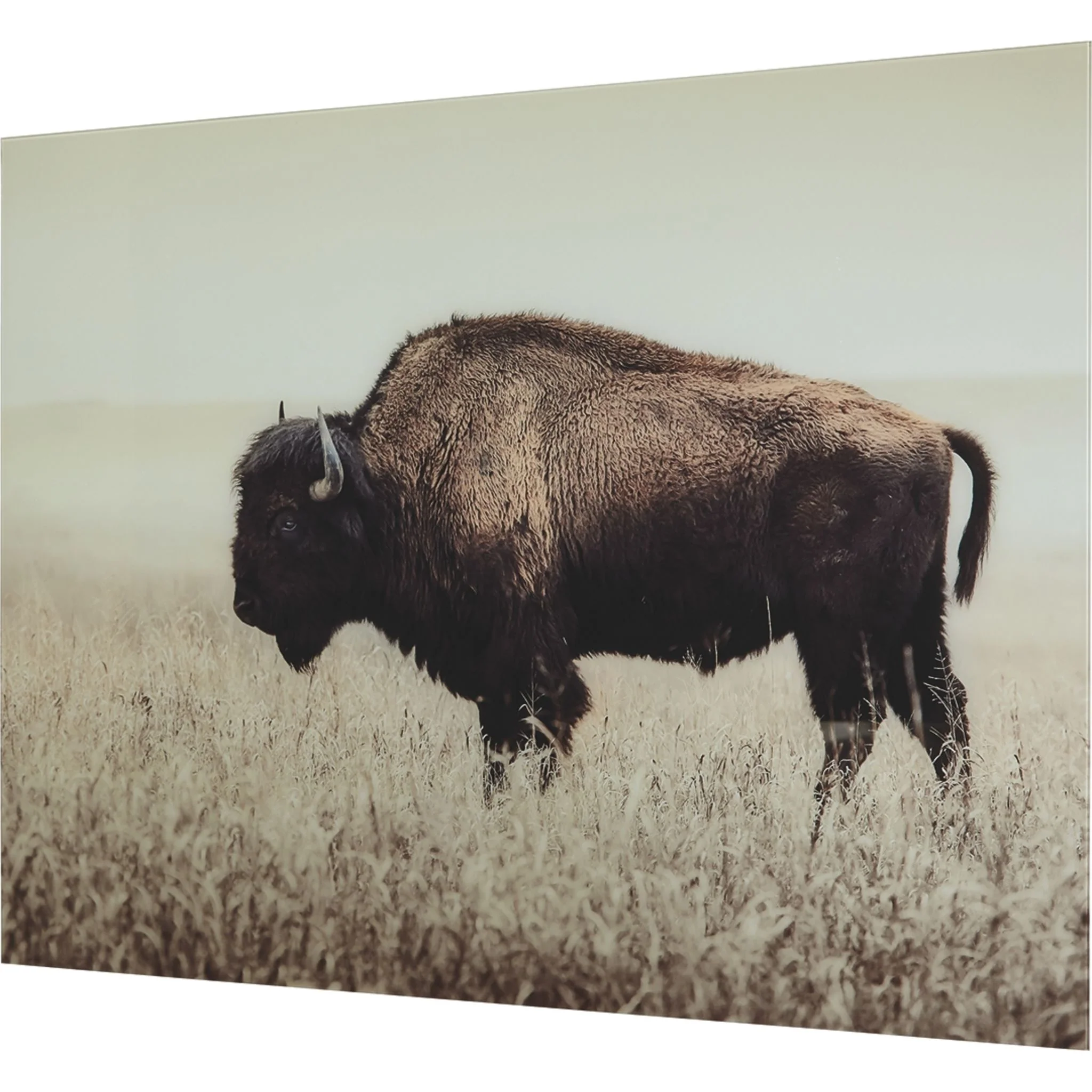 Brutus Wall Art - Image 4