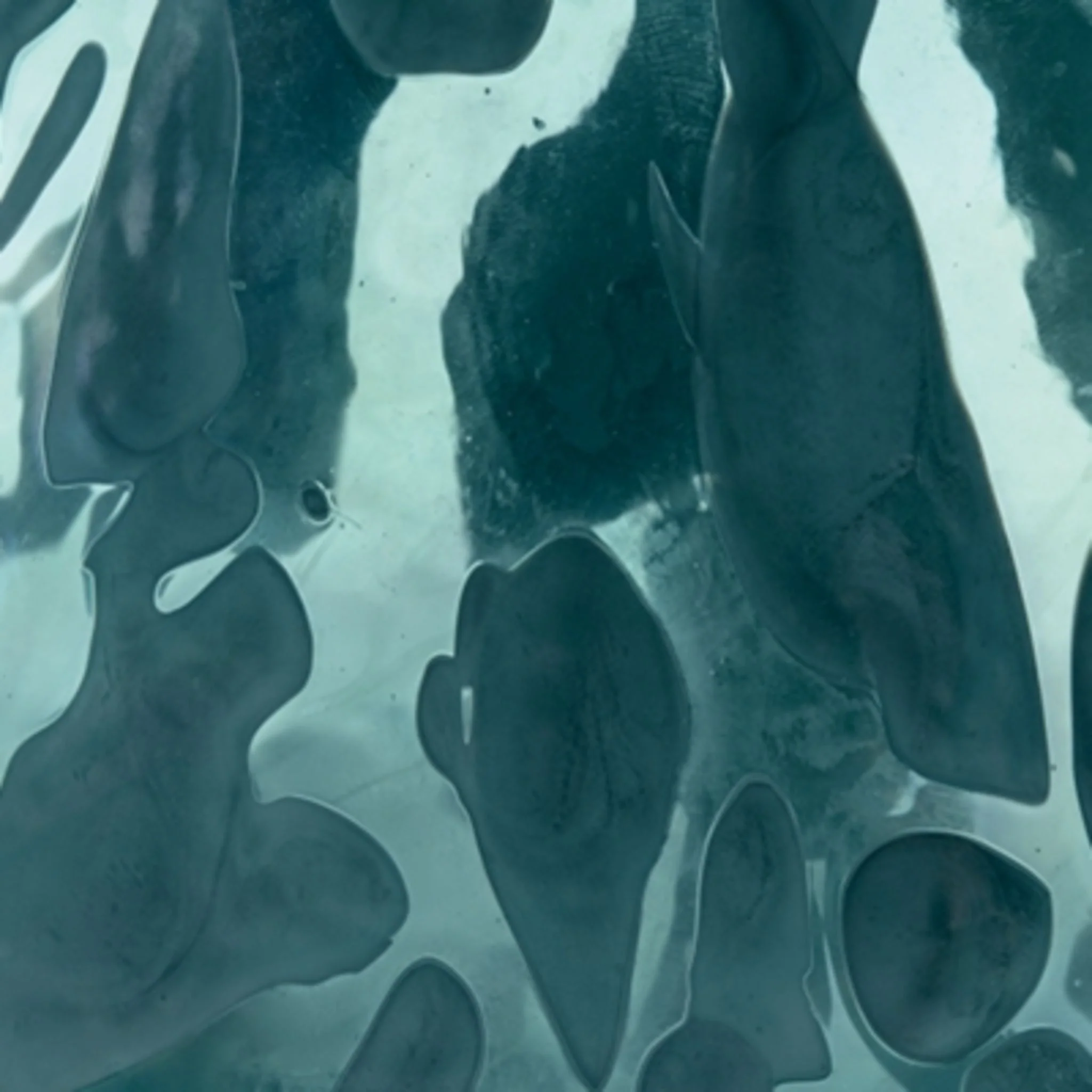 Cartshaw Vase - Image 6