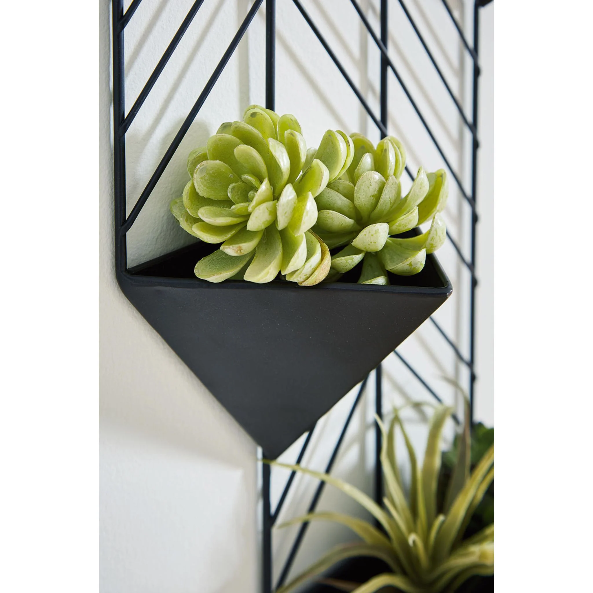 Dashney Wall Decor - Image 8