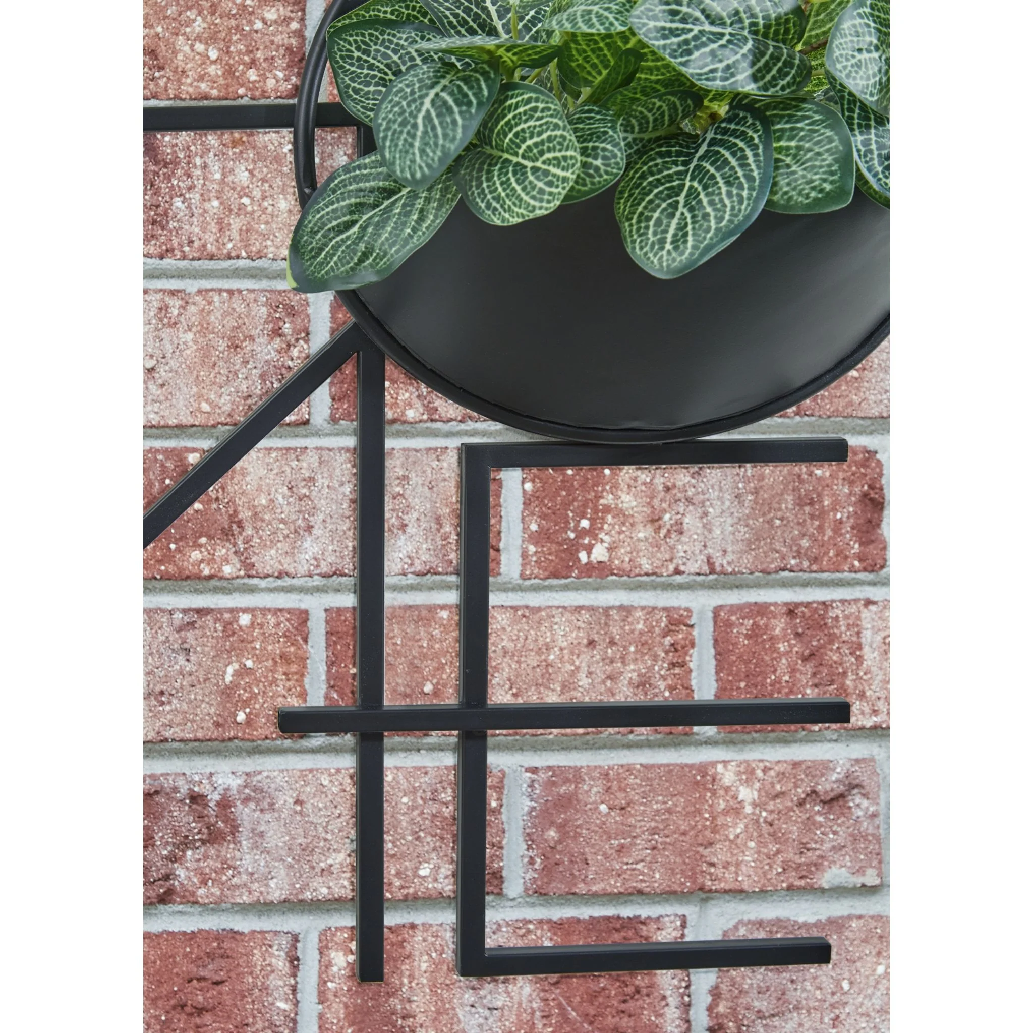 Dunster Wall Decor - Image 5