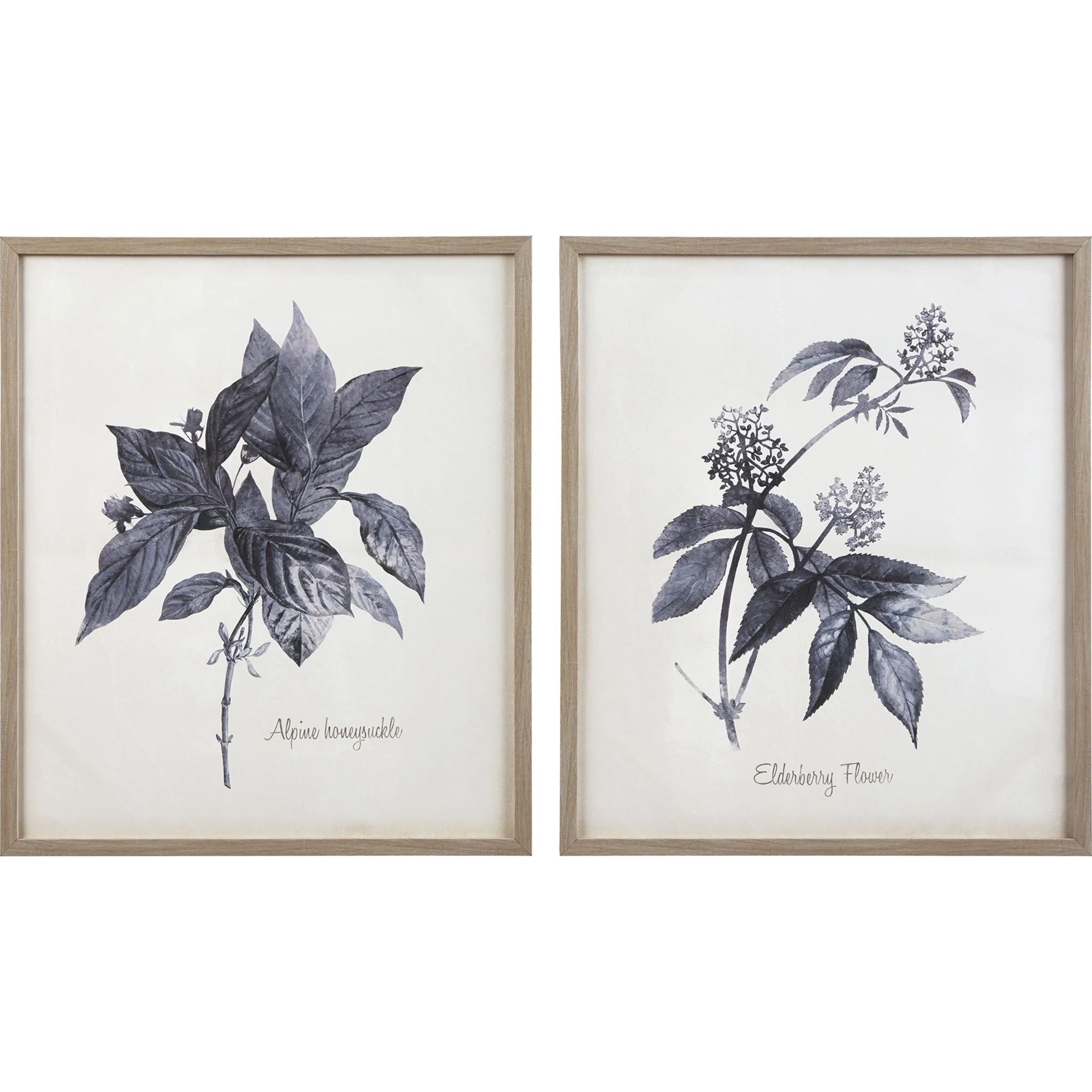 Efren Wall Art (Set of 2) - Image 5