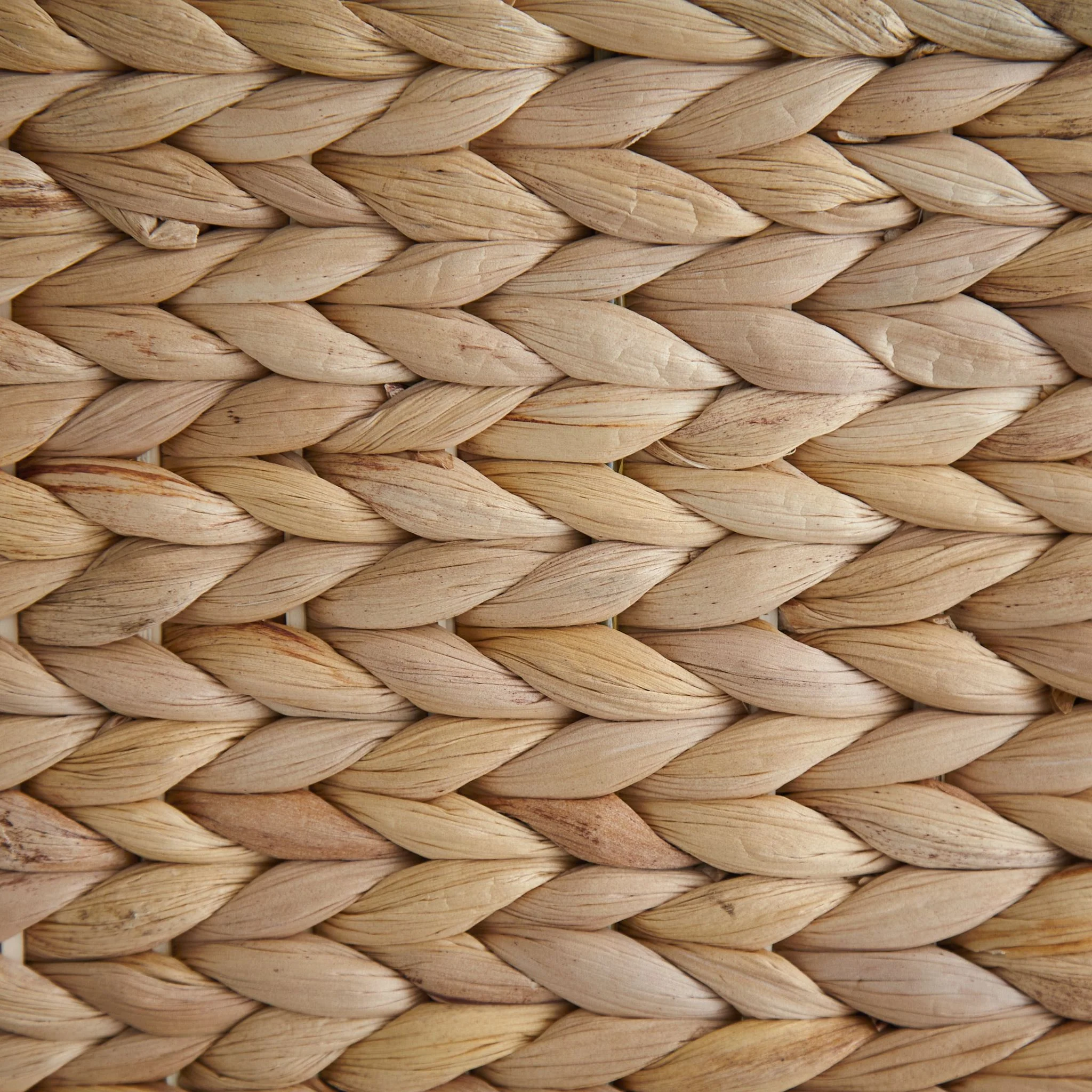 Elian Basket - Image 5