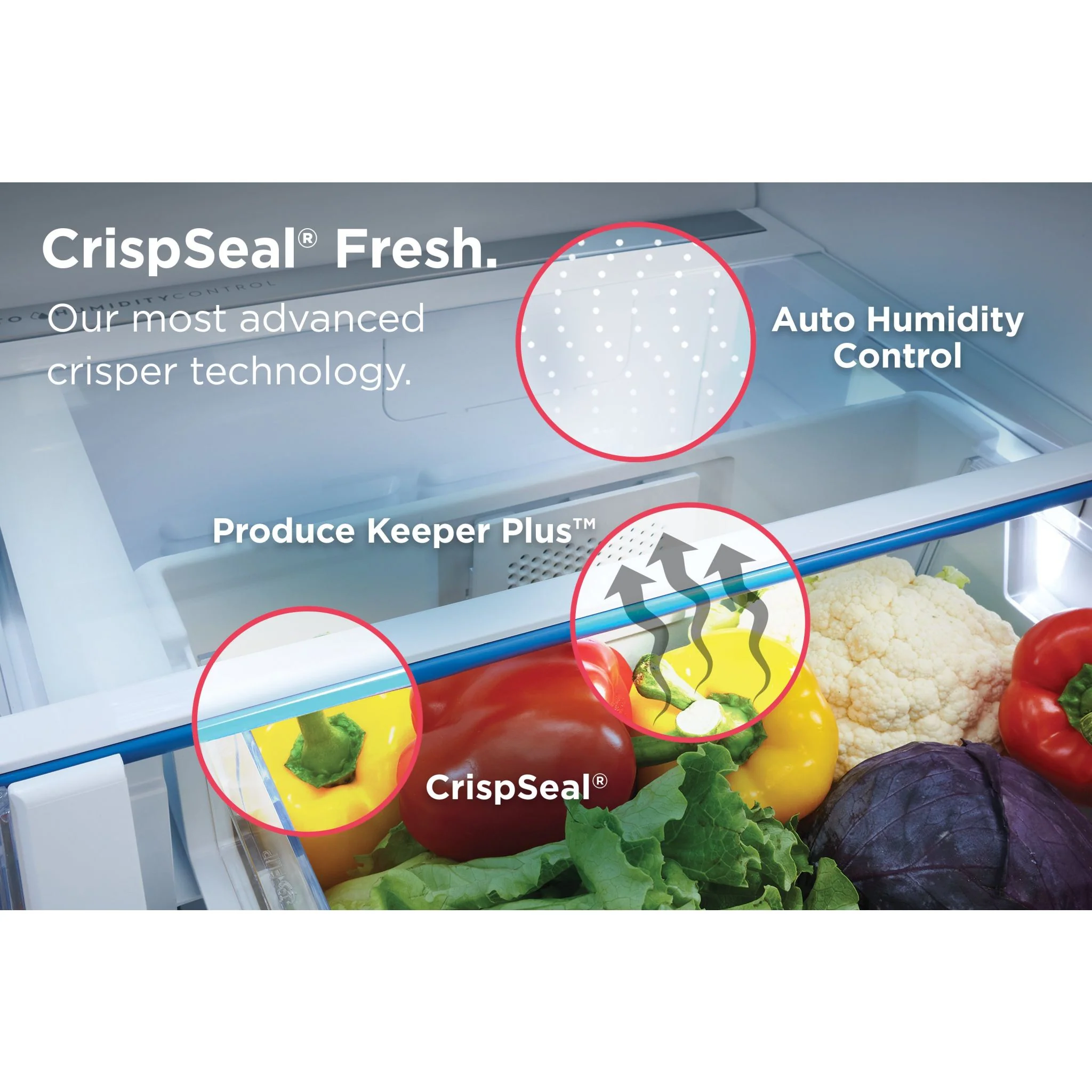 Frigidaire Gallery 20 Cu. Ft. Standard-Depth French Door Refrigerator - Stainless Steel ( GRFN2023AF ) - Image 6