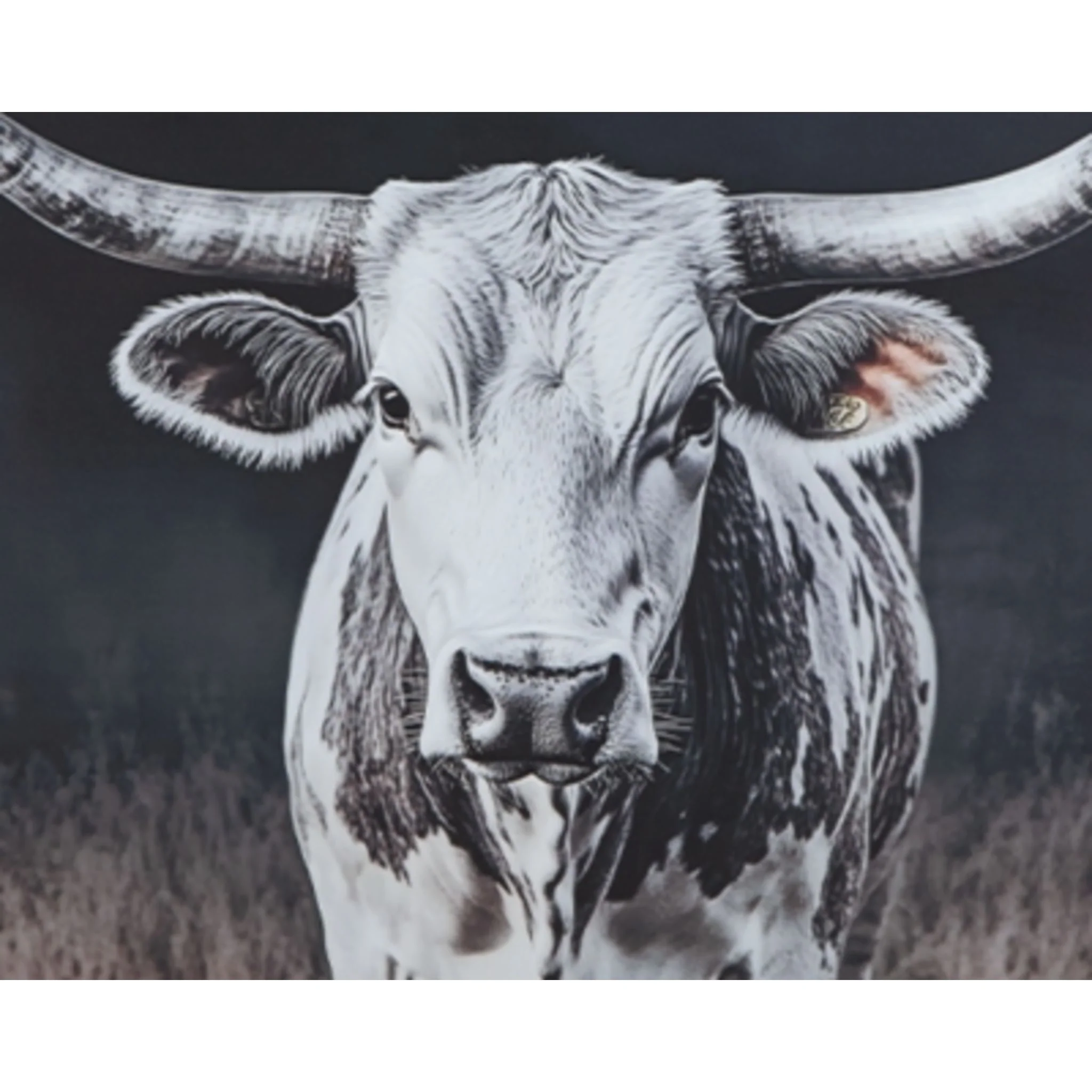 Harlandale Wall Art - Image 8