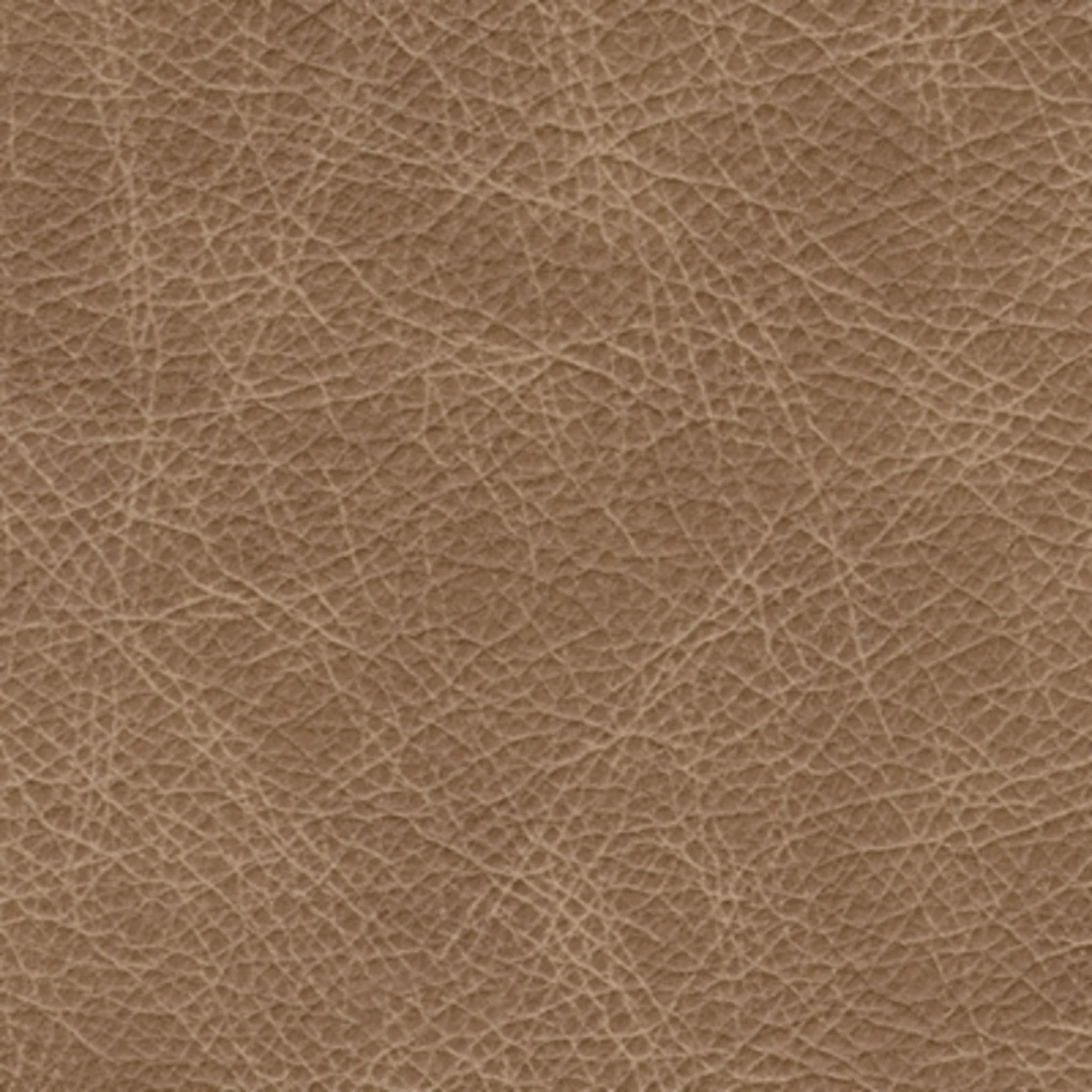 Lombardia Loveseat - Image 8