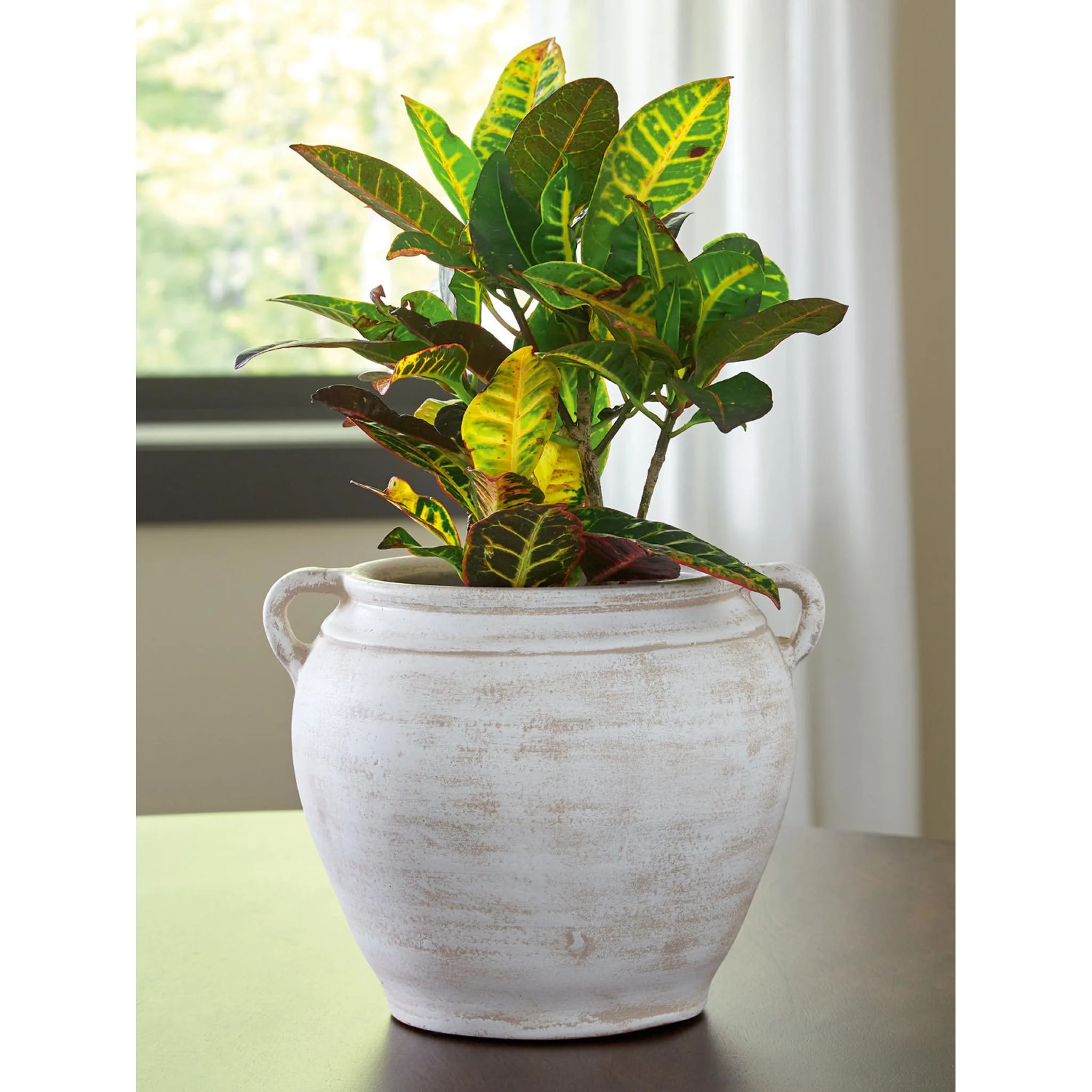 Meadie Vase - Image 4