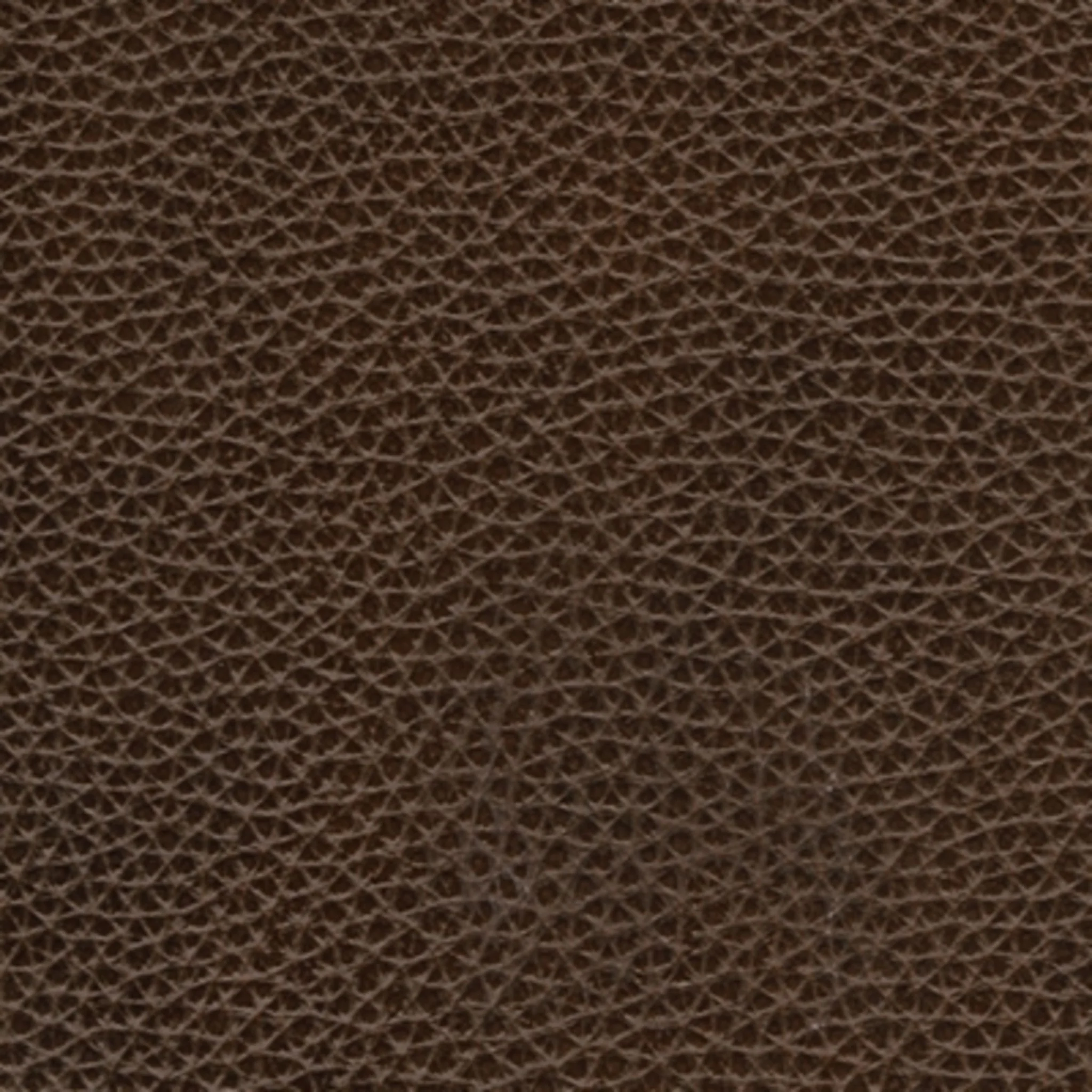 Morelos Chair - Image 6