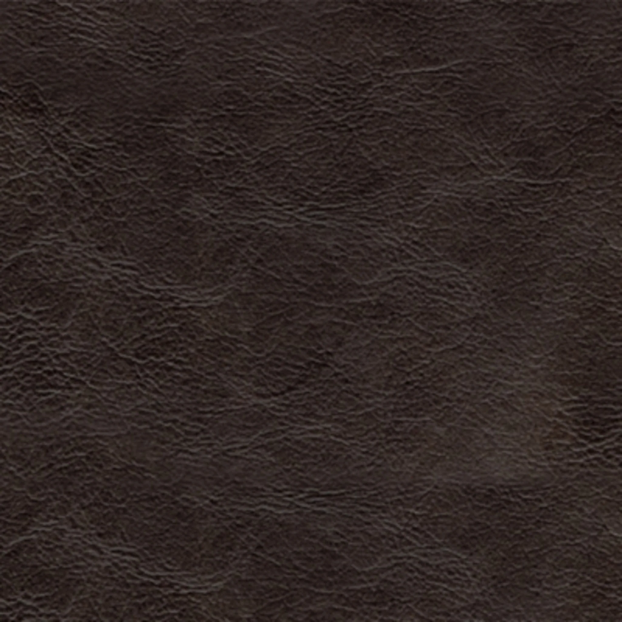 Nicorvo Sofa - Image 5