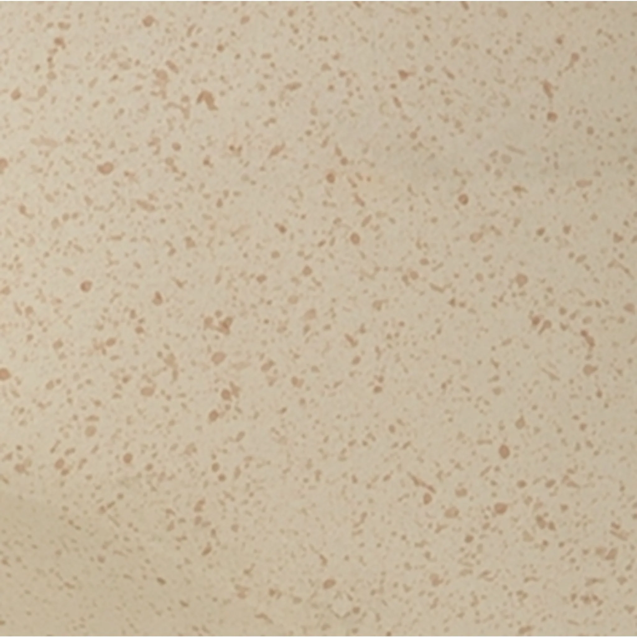 Odion Vase - Image 7