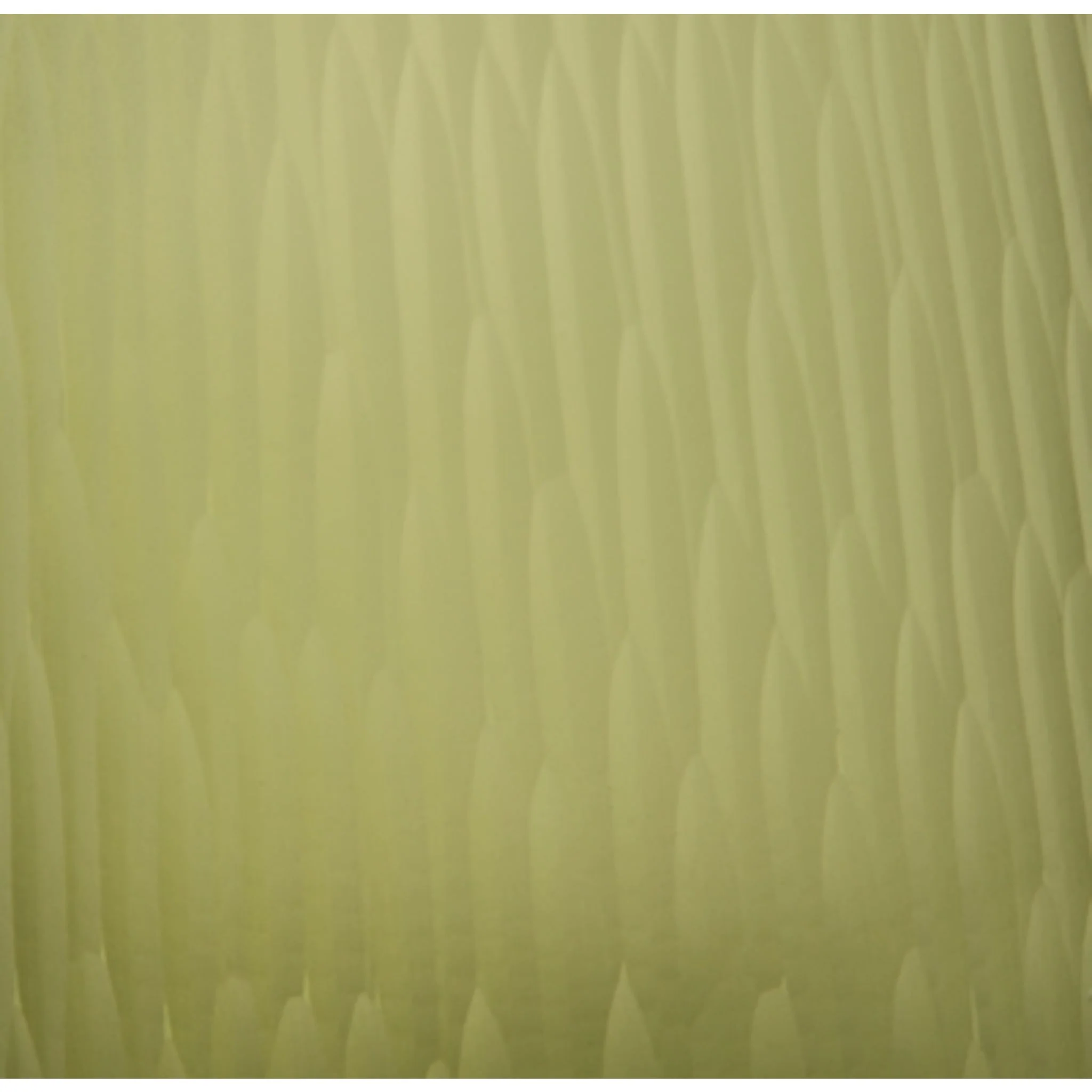 Scottyard Vase - Image 5