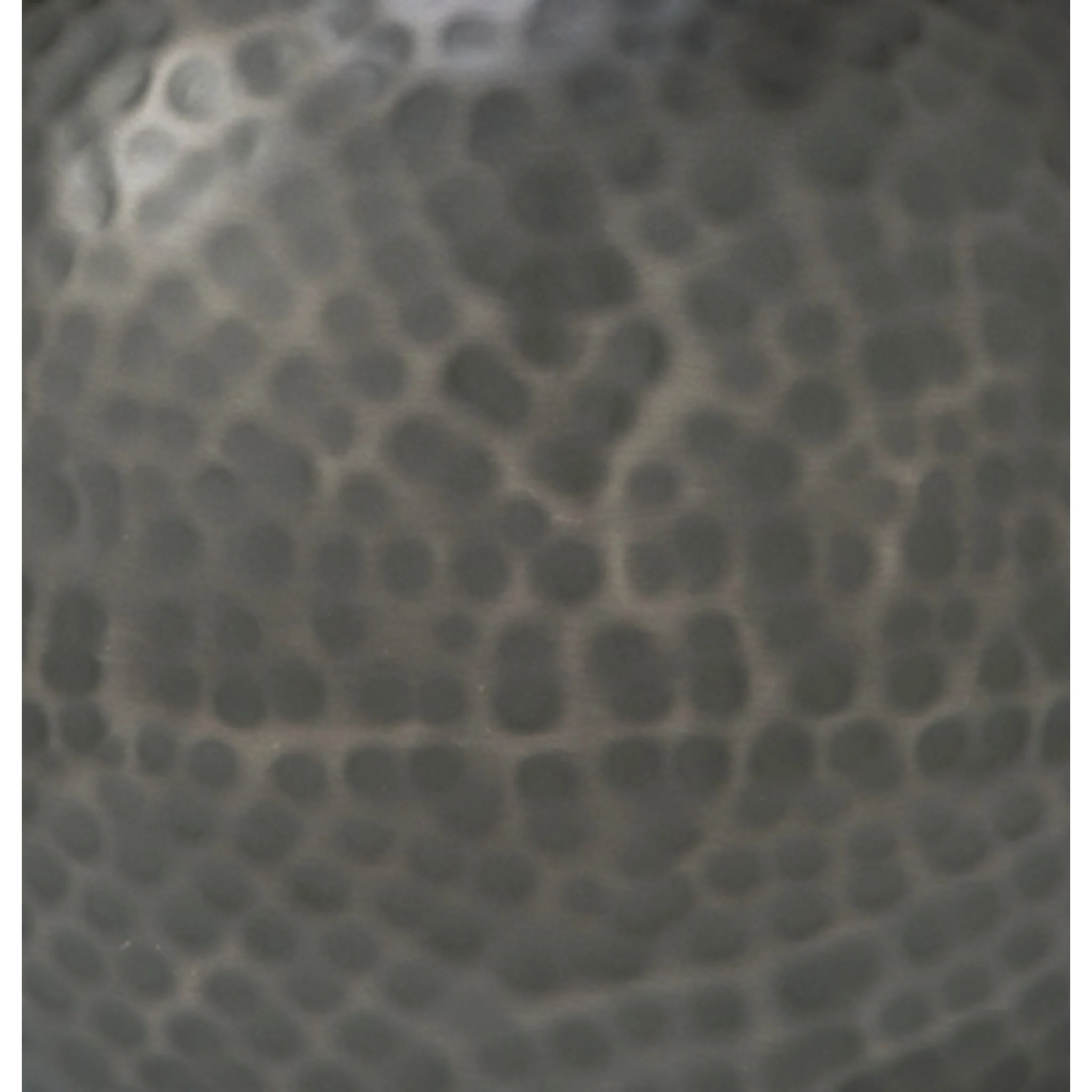 Woody Vase - Image 6