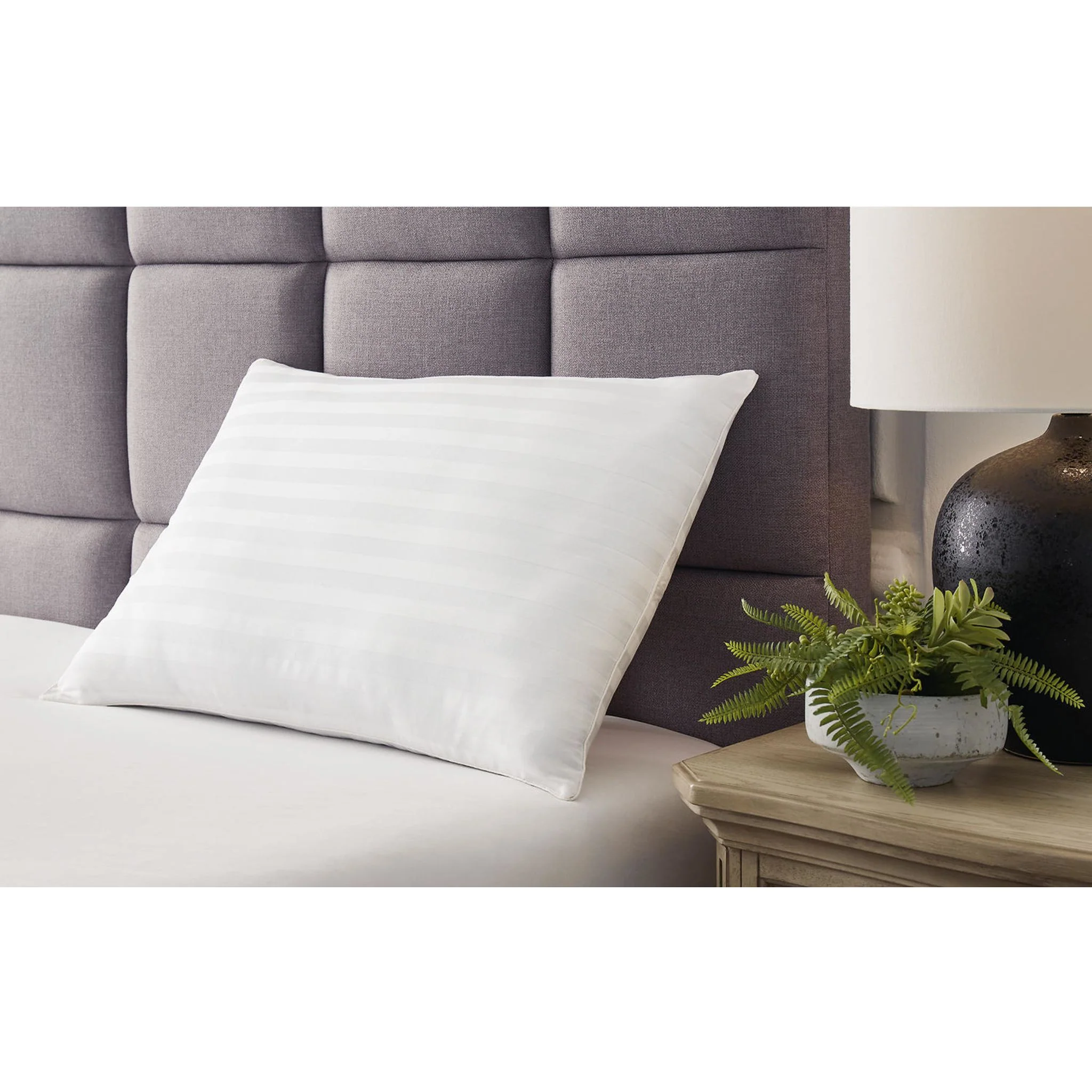 Zephyr 2.0 Cotton Pillow - Image 4